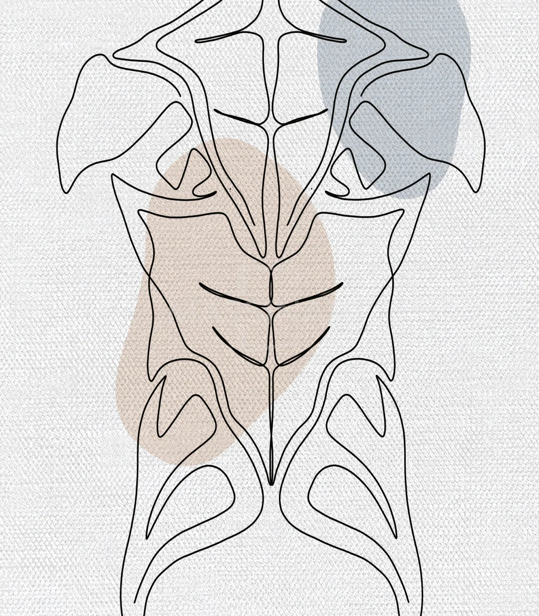 Tríptico anatomía en consulta médica con sillas beige decoración wellness Massinart