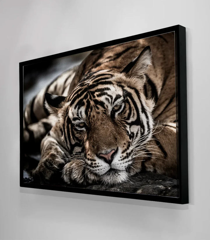 Cuadro animal tigre horizontal para salón moderno — impresión canvas, Massinart