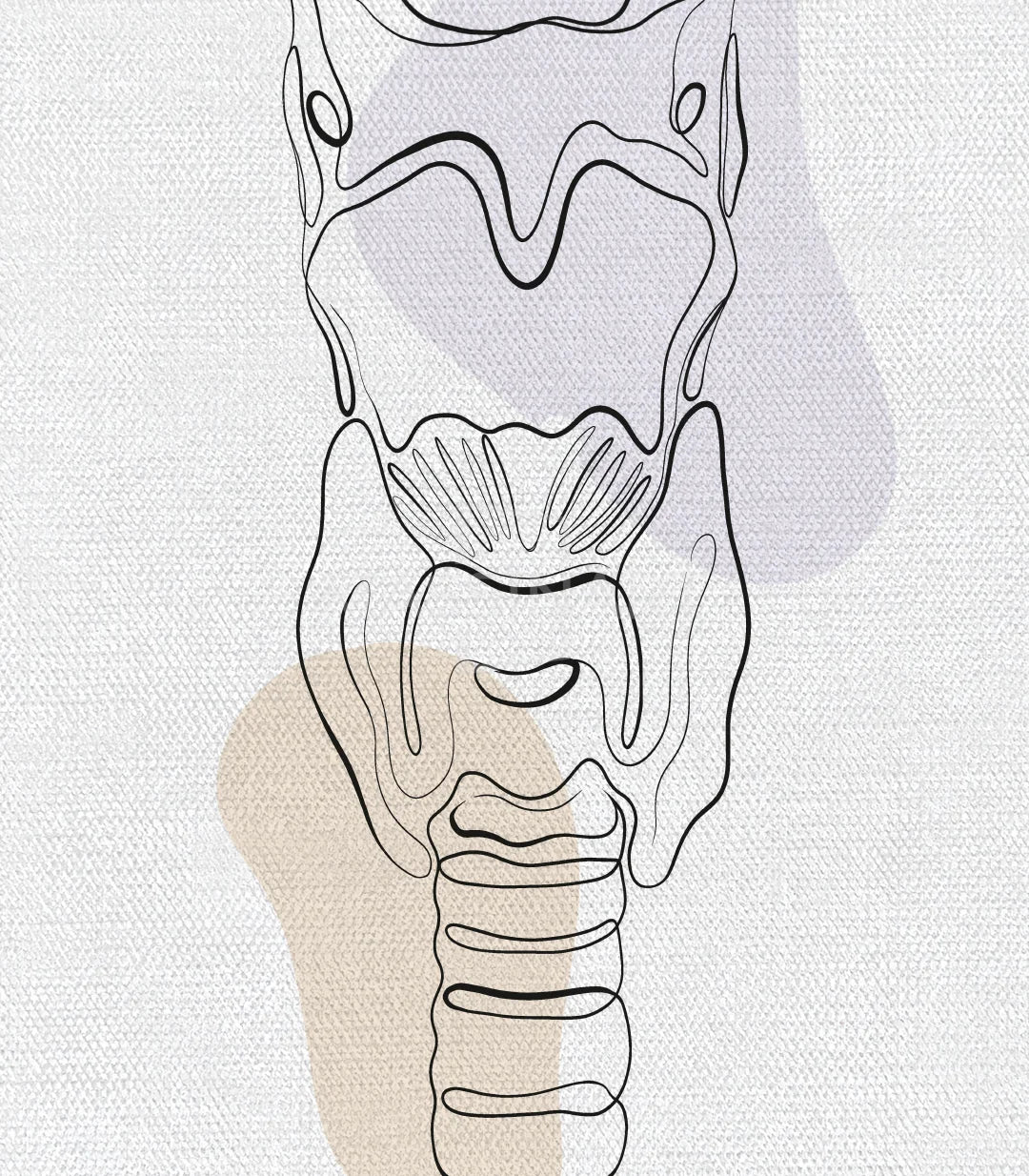 Decoración despacho profesional: Sonic Anatomy ilustraciones científicas — Massinart
