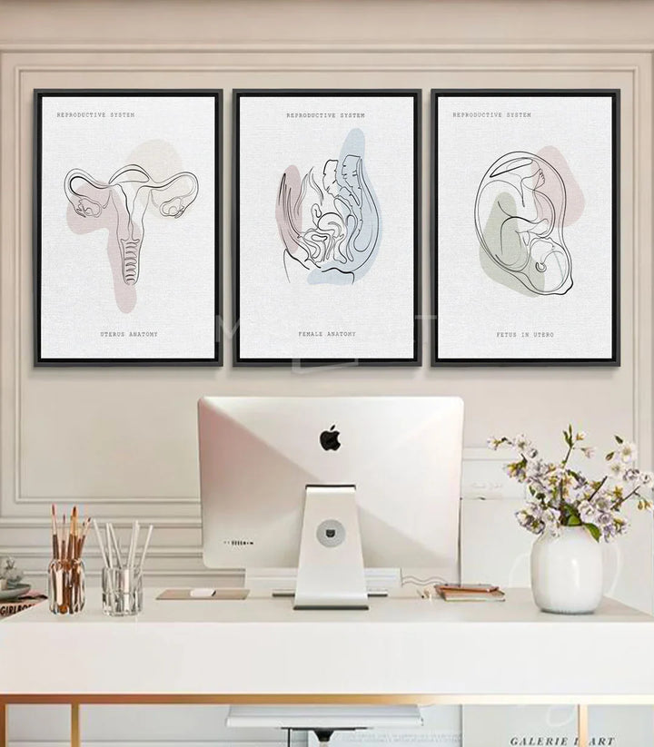 Cuadro Womb Essence — ilustración anatómica útero línea minimalista rosa beige Massinart