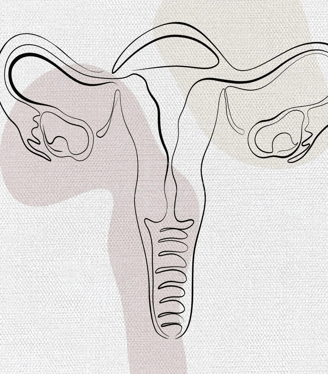 Tríptico completo Womb Essence sistema reproductivo femenino Massinart