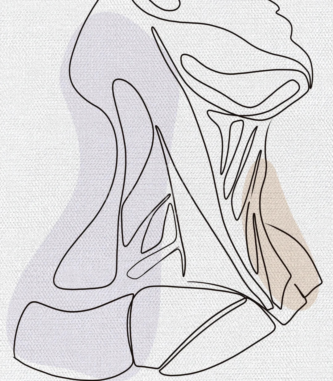 Cuadros line-art sistema muscular tres marcos negros Massinart