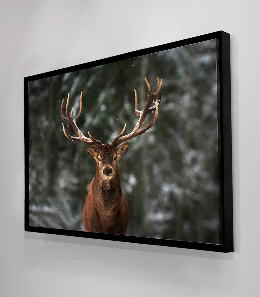 Cuadro foto-arte ciervo, estilo realista naturaleza pura para salón moderno Massinart