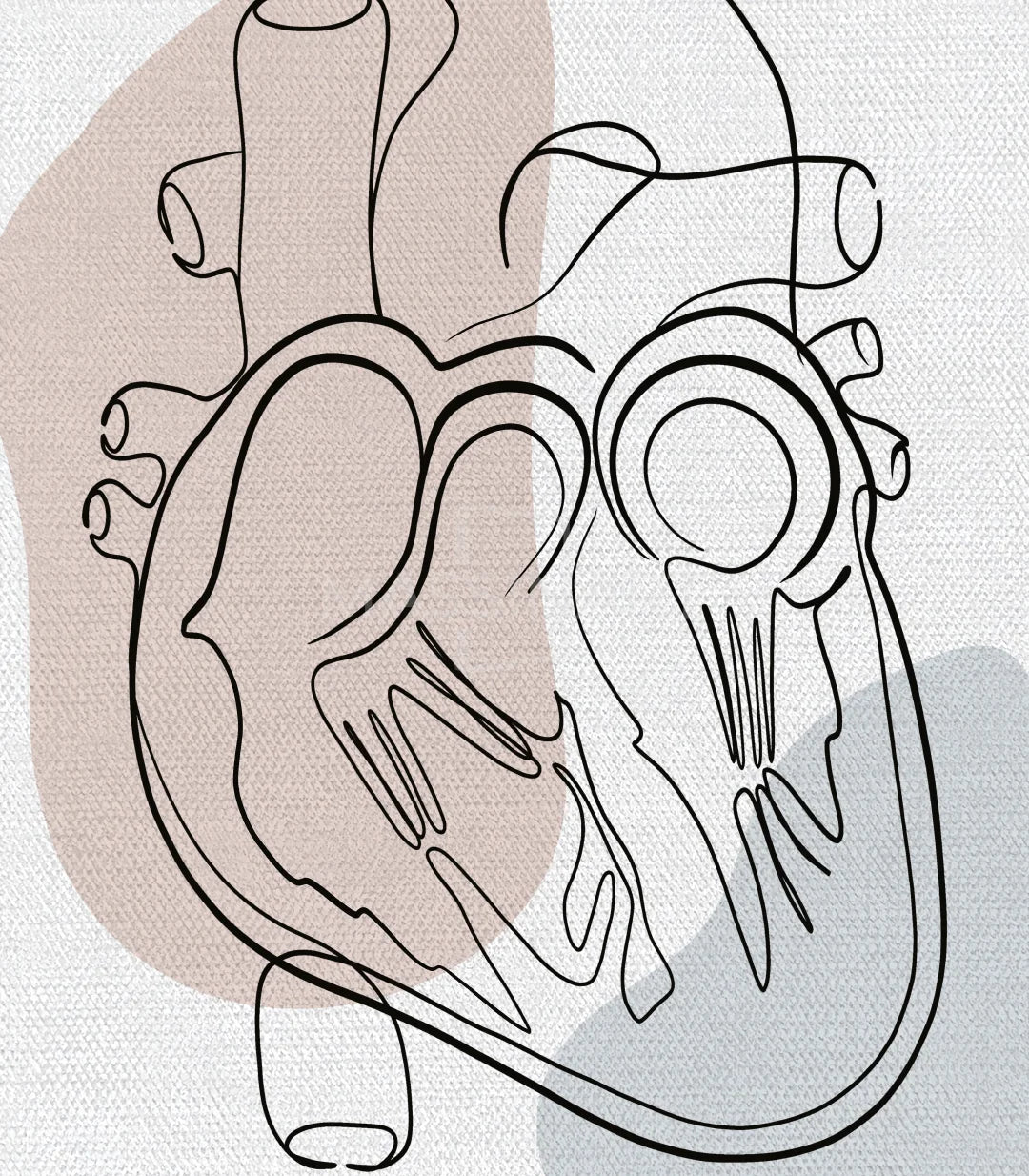 Detalle panel derecho cuadro Heart Anatomy sistema cardiovascular completo — Massinart