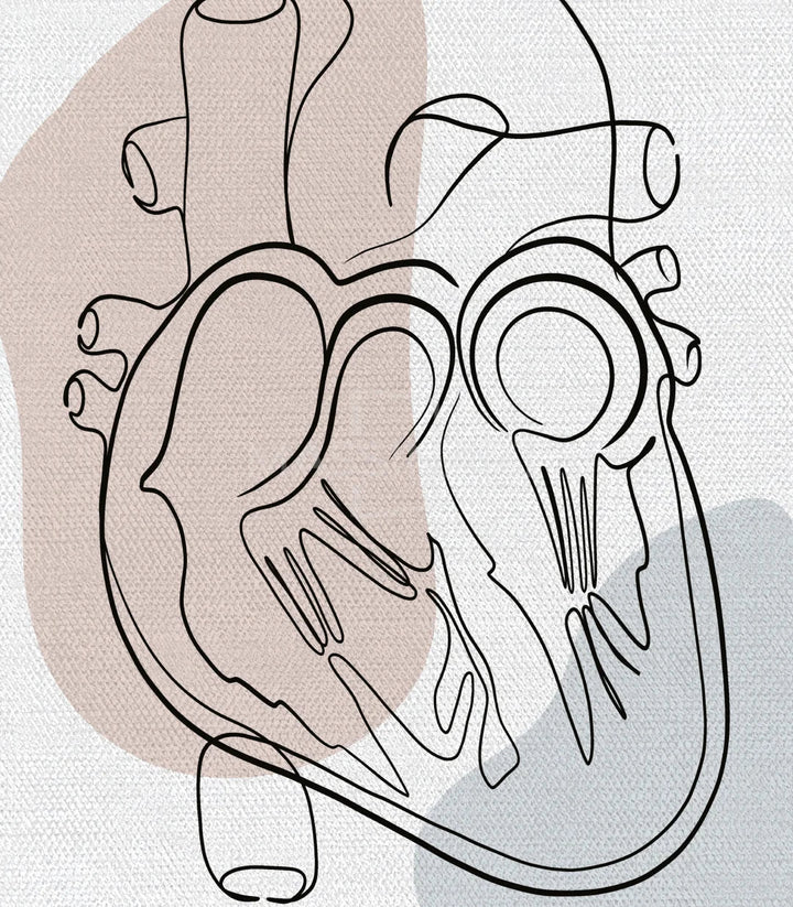 Detalle panel derecho cuadro Heart Anatomy sistema cardiovascular completo — Massinart