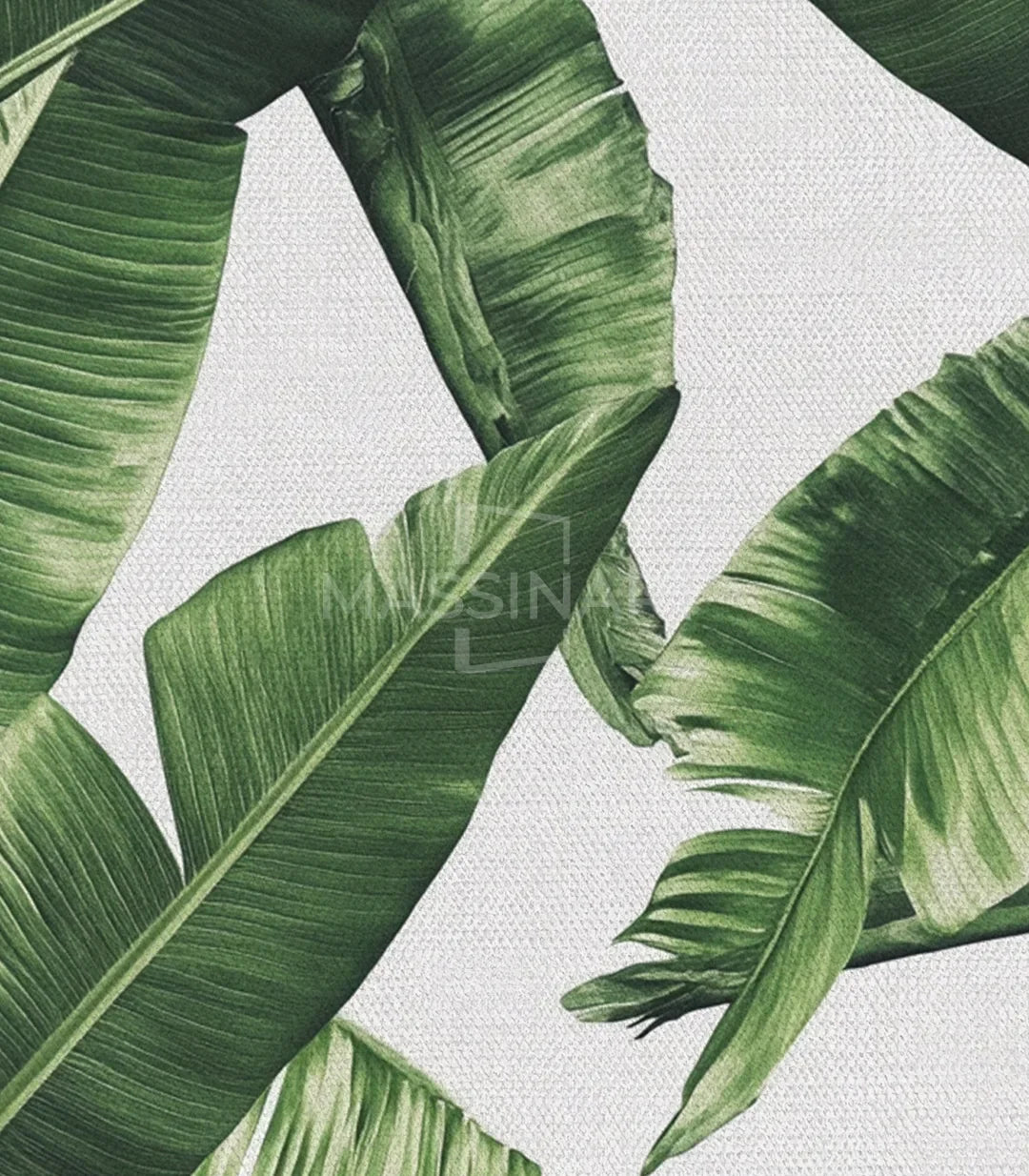 Cuadro follaje tropical patrón repetitivo verde - Massinart